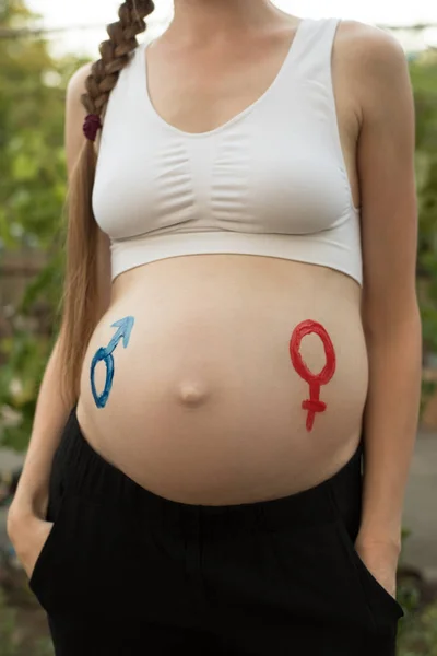 Simboli di genere disegnati su una pancia femminile incinta. Concetto di gravidanza. Primo piano — Foto Stock