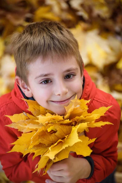 Sonbahar yaprakları bir buket ile sevimli çocuk standları ve yukarı bakar. Üst görünüm. Sonbahar konsepti