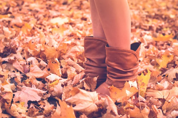 Pernas femininas em botas castanhas. Folhagem amarela sob os pés. Conceito de outono — Fotografia de Stock