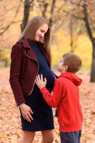 그의 임신 한 어머니의 배를 껴안고 소년. 서로의 눈을 들여다본다. 배경에 가을 공원 — 스톡 사진