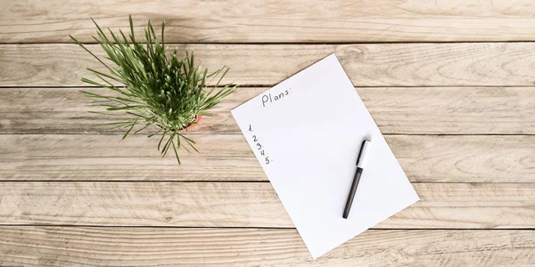 Top uitzicht op wit vel papier met plan en pen, groene kamerplant. Business planning — Stockfoto