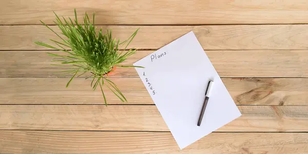 Top uitzicht op wit vel papier met plan en pen, groene kamerplant. Business planning — Stockfoto