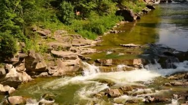 Şelaleleri ile güzel dağ nehri yeşil ormanın arka planında akar. Bahar. Gün batımı zamanı. Karpat dağları, Ukrayna, Yaremche, şelale 