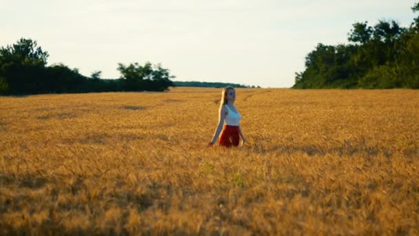 Girl Red Skirt Walking Wheat Field Evening Time — Stock Video