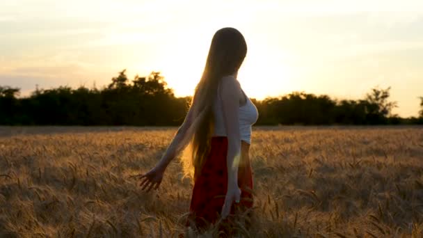 Jovem Cabelos Compridos Girar Espigas Trigo Pôr Sol Inspiração — Vídeo de Stock