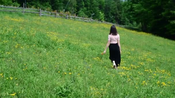 Schönes Mädchen Das Auf Dem Grünen Rasen Geht Ist Ein — Stockvideo