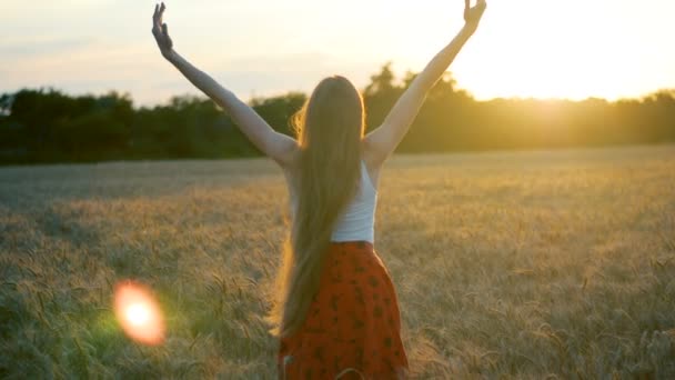 Long Haired Young Woman Posing Videos Wheat Field Back View — Stock Video