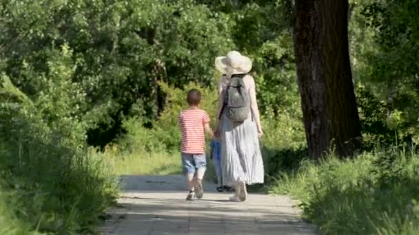 Η μαμά και δύο γιοι περπατούν κατά μήκος του στενού σε ένα καταπράσινο πάρκο. Ηλιόλουστη καλοκαιρινή μέρα. Πίσω όψη — Αρχείο Βίντεο