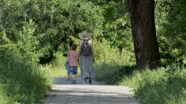 Мама і двоє синів ходять по алеї в зеленому парку. Сонячний день літа. Перегляд назад — стокове відео