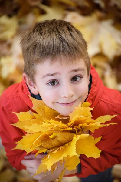 Cute Boy z bukietem jesiennych liści stoi i patrzy w górę. Widok z góry. Koncepcja Jesienna — Zdjęcie stockowe