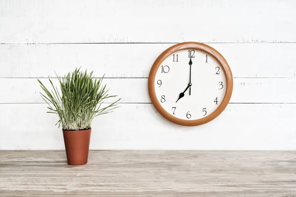 Horloge ronde sur un mur blanc. Une plante d'intérieur verte. Début de la journée de travail — Photo