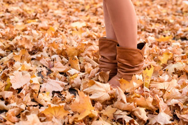 Pernas femininas em botas castanhas. Folhagem amarela sob os pés. Conceito de outono — Fotografia de Stock