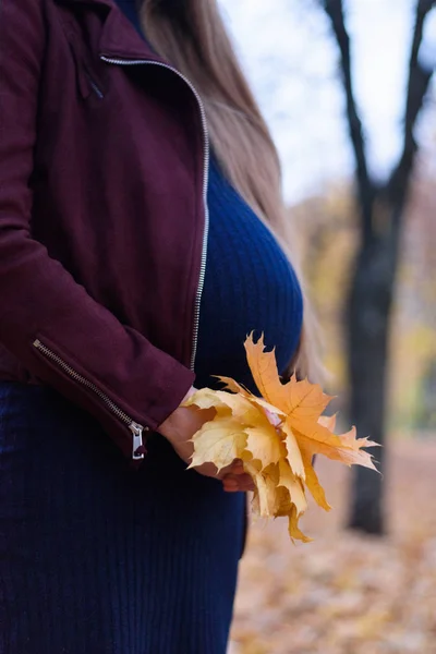 Le ventre d'une femme enceinte. Huitième mois. Bouquet de feuilles jaunes dans les mains. Parc d'automne en arrière-plan — Photo