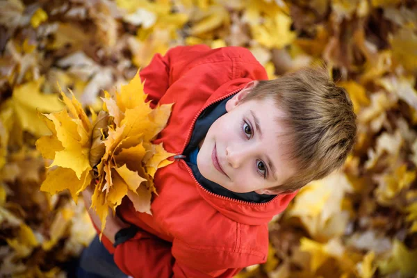 Ragazzo carino con un mazzo di foglie autunnali stand e alza lo sguardo. Vista dall'alto. Concetto autunno — Foto Stock