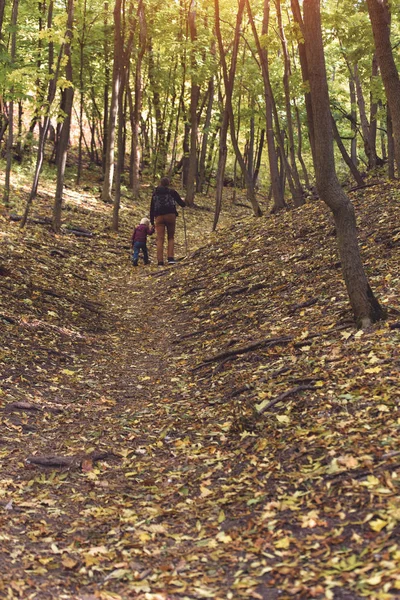 Baba ve oğlu sonbahar ormanında yürüyor. Geri görünüm