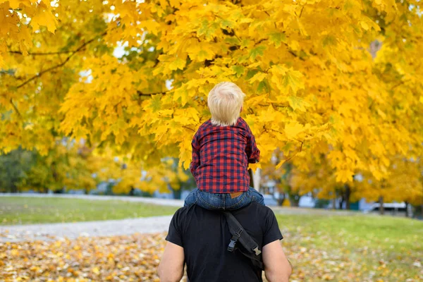 Ekose gömlekli sarışın çocuk babasının omuzlarında oturuyor. Arka görüş. Sonbahar konsepti