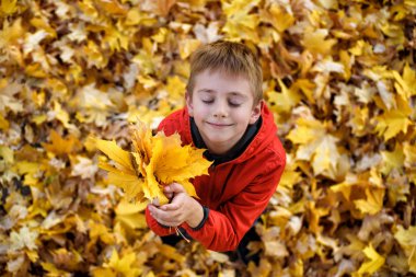 Kapalı gözleri ve sonbahar yaprakları bir buket ile sevimli çocuk bakar. Üst te. Sonbahar konsepti