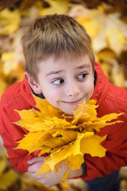 Sonbahar yaprakları bir buket ile sevimli çocuk standları ve yukarı bakar. Üst görünüm. Sonbahar konsepti