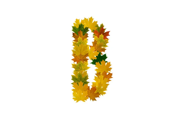 Litera B z jesiennych liści klonu izolowana na białym tle. Alfabet z zielonych, żółtych i pomarańczowych liści — Zdjęcie stockowe