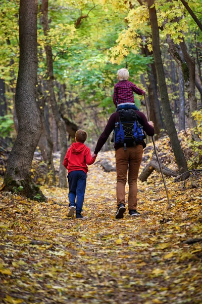 Baba ve iki oğlu sonbahar ormanında yürüyorlar. Küçük oğlu babasının omuzlarında oturuyor. Geri görünüm