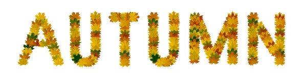 Phrase Autumn of yellow, green and orange maple autumn leaves close-up. Isolate on white background — Stock Photo, Image