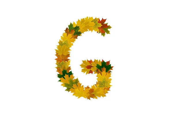 Letter G from autumn maple leaves isolated on white background. Alphabet from green, yellow and orange leaves — Stock Photo, Image