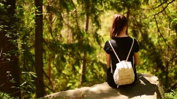 女孩与背包坐在岩石上的森林 夏日阳光明媚的一天 — 图库视频影像