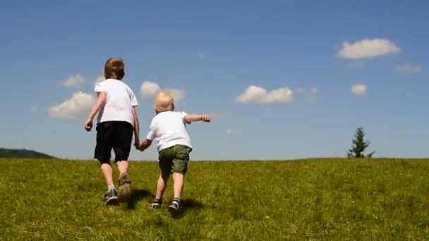 Двоє маленьких хлопчиків біжать на зеленому лузі, тримаючи руки на тлі блакитного неба і хмар — стокове відео