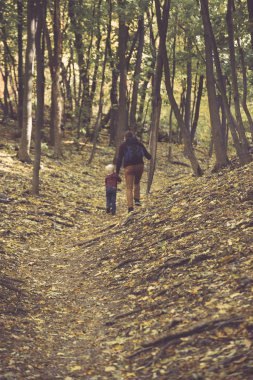 Baba ve oğlu sonbahar ormanında yürüyor. Geri görünüm