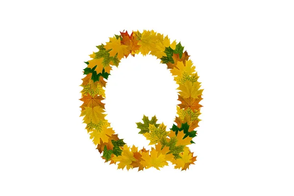 Carta Q de folhas de bordo de outono. Alfabeto de folhas verdes, amarelas e laranja — Fotografia de Stock
