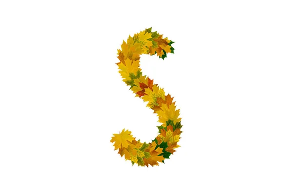 Письмо S осенних кленовых листьев. Алфавит из зеленых, желтых и оранжевых листьев — стоковое фото