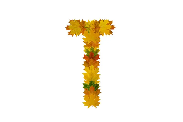 Письмо Т от осенних кленовых листьев. Алфавит из зеленых, желтых и оранжевых листьев — стоковое фото