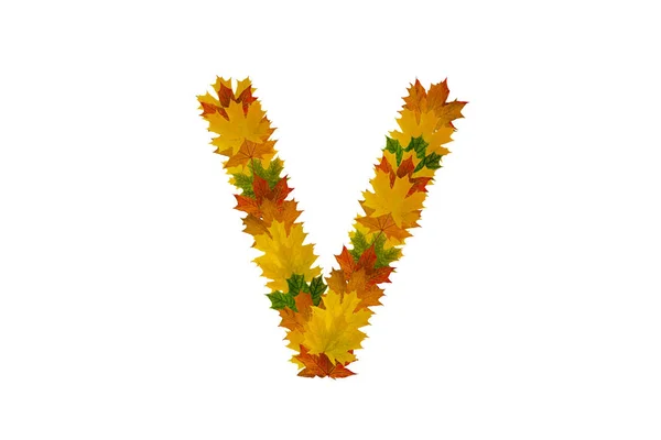 Bokstaven V från höstlönnlöv. Alfabetet från grönt, gult och orange blad — Stockfoto