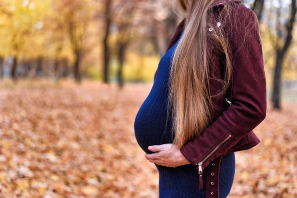 Ventre d'une femme enceinte avec les mains. Huitième mois. Parc d'automne en arrière-plan — Photo