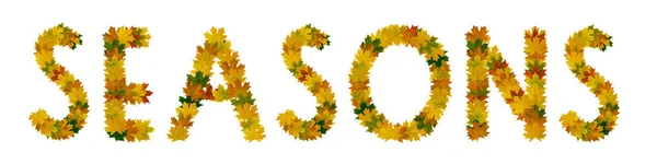 Phrase Seasons of yellow, green and orange maple autumn leaves close-up. Isolate on white background — Stock Photo, Image
