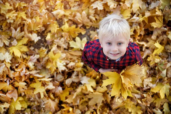 Ξανθό αγόρι με ένα μπουκέτο φθινοπωρινά φύλλα στέκεται και κοιτάζει επάνω. Κορυφαία προβολή. Φθινοπωρινή ιδέα — Φωτογραφία Αρχείου