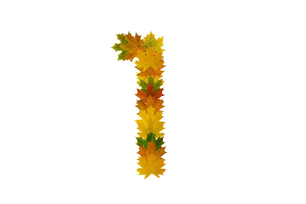 Siffra 1 från höst lönn lämnar isolerad på vit bakgrund. Alfabetet från grönt, gult och orange blad — Stockfoto