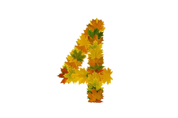 Számjegy 4 őszi juhar levelek izolált fehér háttér. Ábécé zöld, sárga és narancs levelből — Stock Fotó