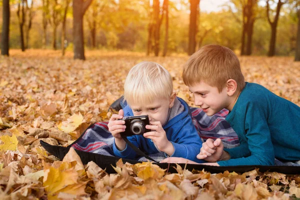 Dva malí bratři vypadají na fotky na kameře. Leží na žlutém podzimním listí. Den pádu — Stock fotografie