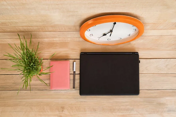 Vista dall'alto di un computer portatile, notebook e penna, orologio da parete. Lavoro domestico. Pianta d'appartamento verde sul tavolo. Fondo bianco . — Foto Stock