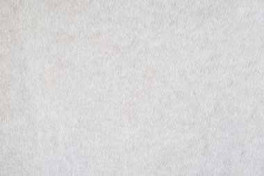 Beyaz yünlü doku kumaş. Kaşmir. Sağlam ve kesintisiz arka plan.