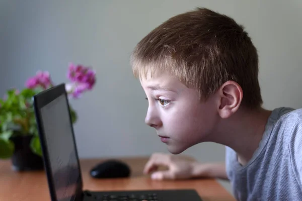 Школьник сидит, зарывшись в ноутбук. Интернет и дошколята — стоковое фото
