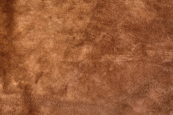 Texture lisse et transparente en daim. Couleur marron. Cuir véritable — Photo