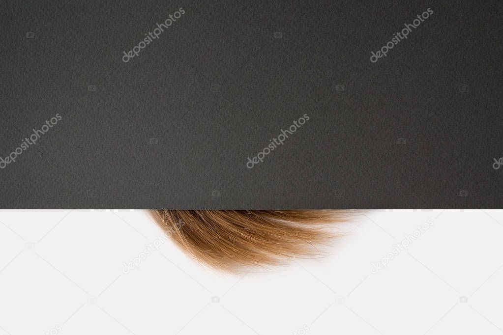 Strand of blonde hair on a black and white background. Beauty concept. Space for text