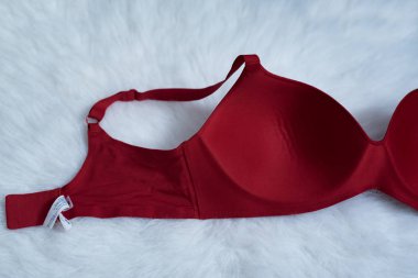 Beyaz kürklü kırmızı korsenin bir parçası. İç taraf. İç çamaşırı, moda konsepti. Kapat.