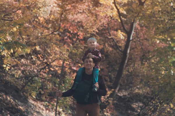 Отец с сыном на плечах, гуляющий по осеннему лесу. Вид сзади — стоковое фото