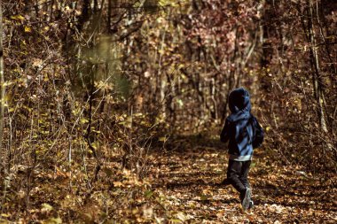 Sonbahar ormanında kapüşonlu ceketli küçük bir çocuk yürüyor. Arka plan