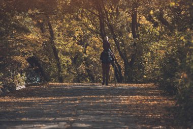 Baba ile oğlu sonbahar ormanda yürüyüş onun omuzlarında. Arkadan görünüm