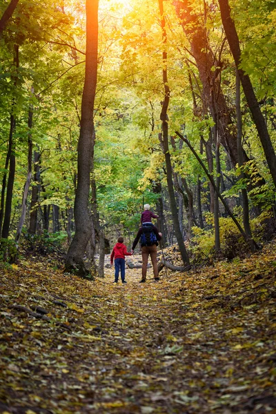 Padre y dos hijos caminando en el bosque de otoño. Hijo menor sentado sobre los hombros de su padre. Vista trasera — Foto de Stock