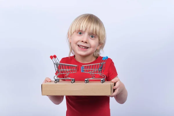 Joyful Fair Haired Jongen Holding Box Speelgoed Winkelwagen Koop Online — Stockfoto